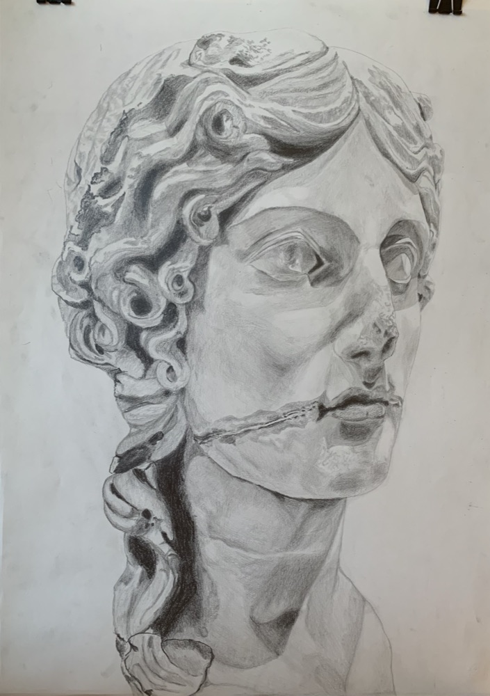 Classical Bust